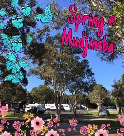 Spring at Mudjimba