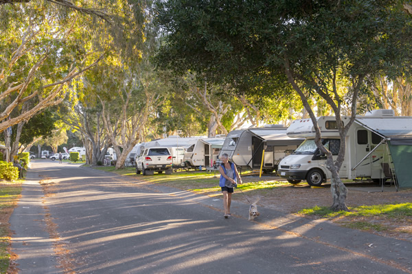 Mudjimba sites in the dog friendly area and shady sites